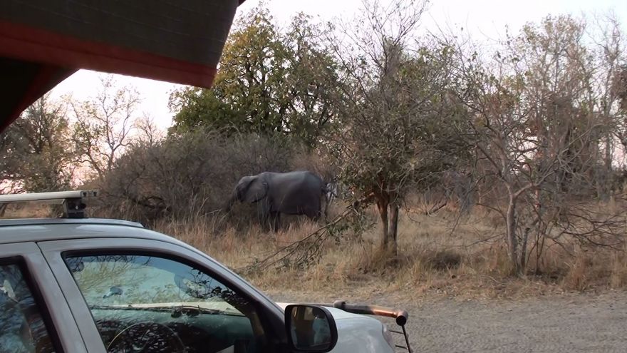 Self-drive in the Okavango Delta