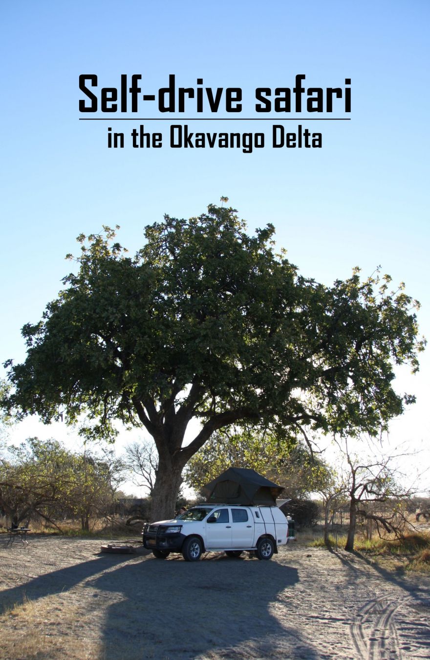 Self-drive in the Okavango Delta