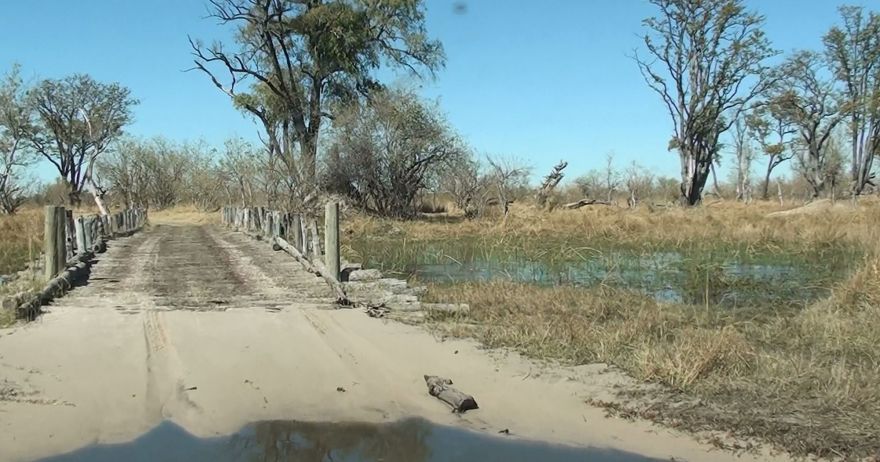 Self-drive in the Okavango Delta