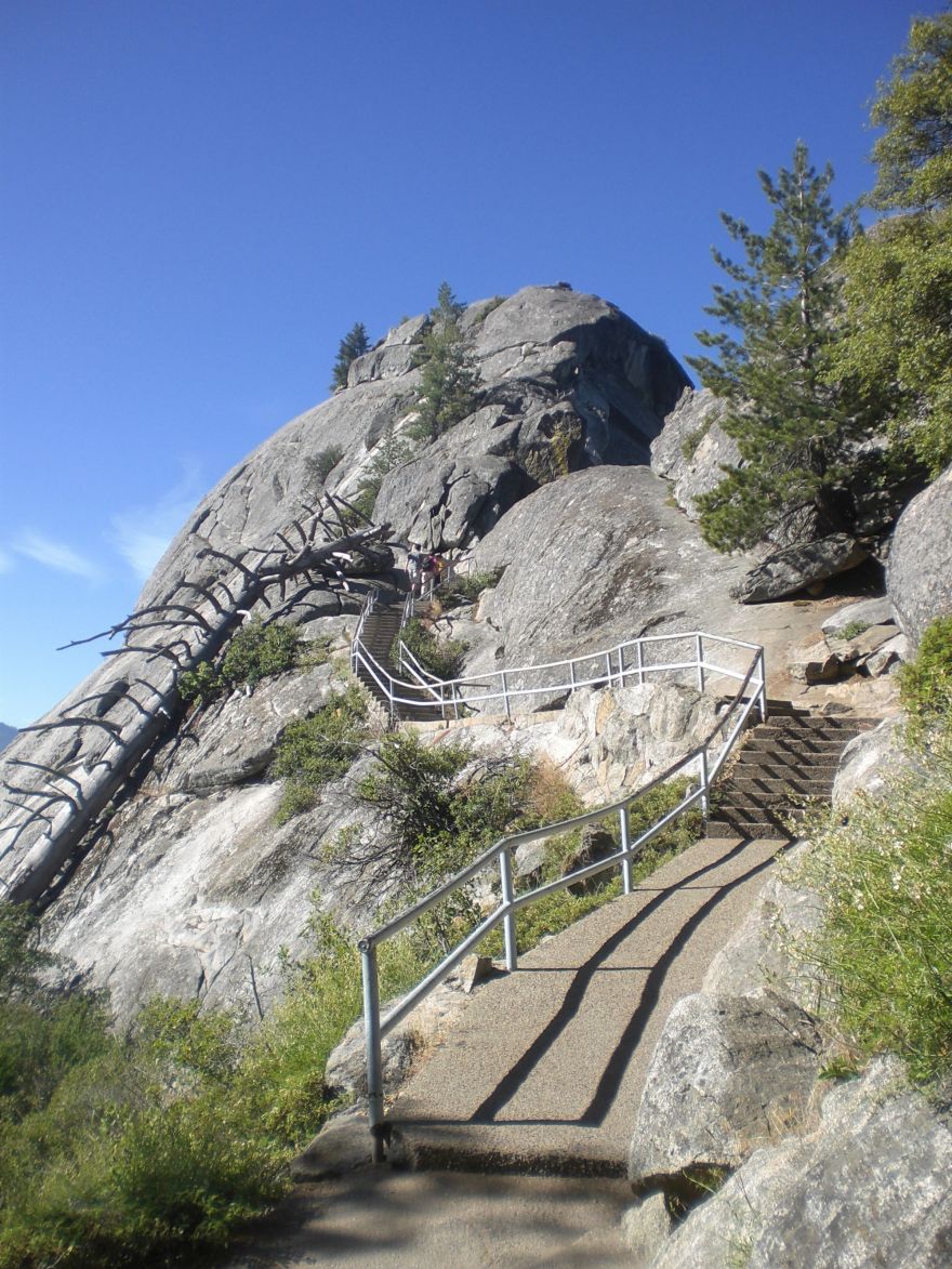 How to experience the best view in Sequoia National Park