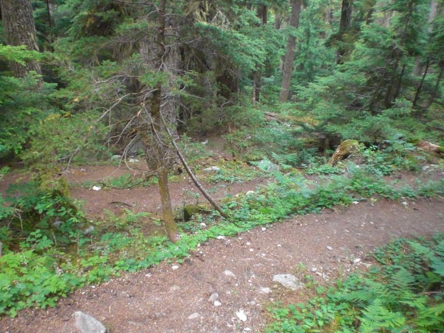 Great Glacier Crest Trail