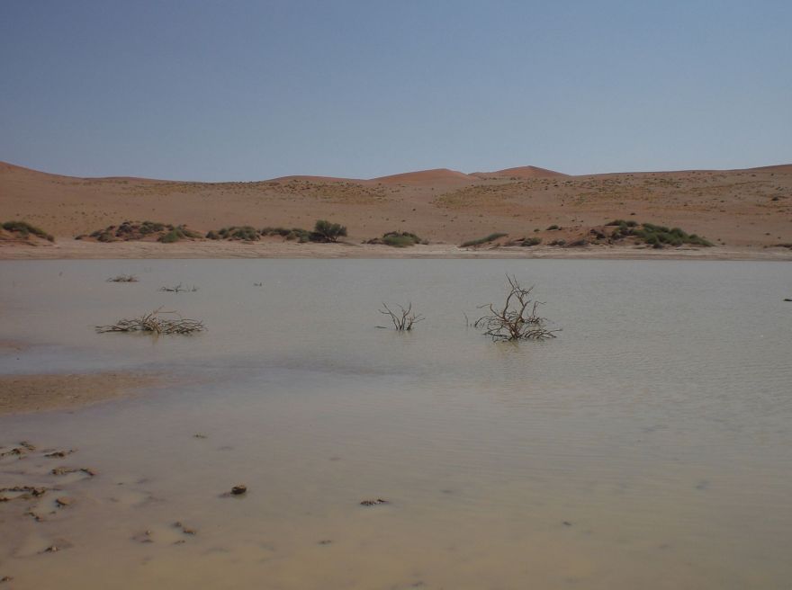 Water in Sossusvlei